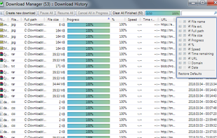 Download Manager (S3) screenshot 2