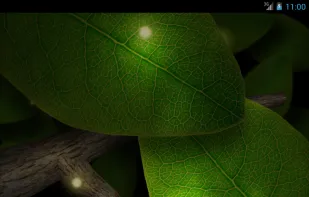 Tap Leaves Live Wallpaper screenshot 1