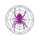 Spider Project icon