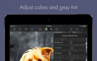 Color Splash screenshot 3