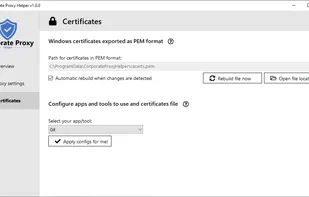 Corporate Proxy Helper screenshot 1
