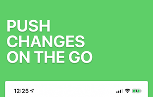 PolyGit screenshot 1