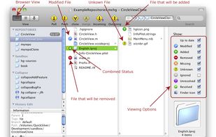 Browser View