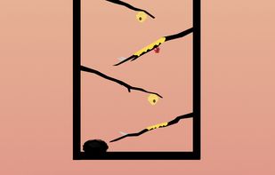 Eggsotic screenshot 3