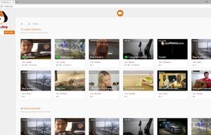 amber.dog screenshot 1