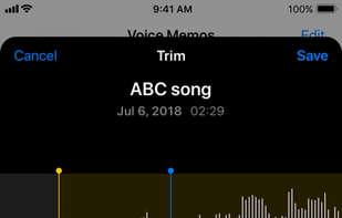 Voice memos screenshot 1