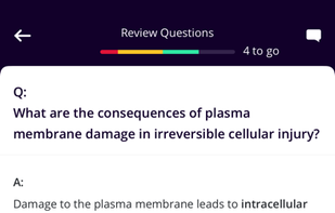 Firecracker screenshot 1