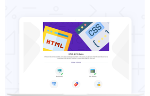 Basic and advanced courses - Duomly - programming online courses