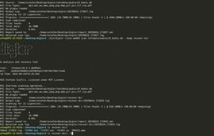 Digler screenshot 1