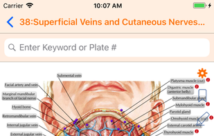 Netter's Anatomy Atlas 7e screenshot 2
