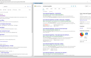 Vole Internet Expedition screenshot 1