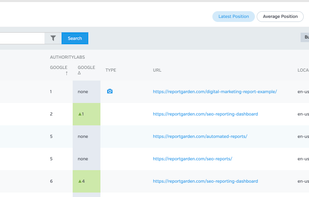 Raven Tools screenshot 3