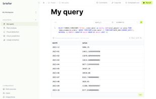Briefer screenshot 1