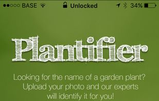 Plantifier screenshot 1