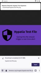 Hypatia Malware Scanner screenshot 2