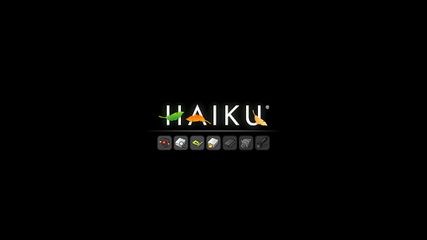 If installed correctly, HAIKU's boot screen should lasts for less them 10 seconds, even on old hardware.