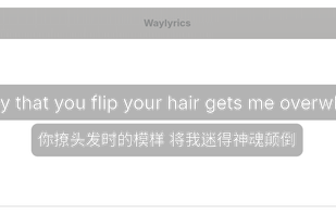 Waylyrics screenshot 1