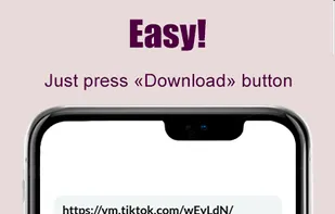 TikTok Video Downloader screenshot 1
