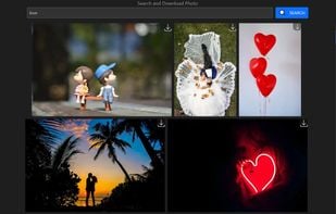 Photo Downloader Online screenshot 1