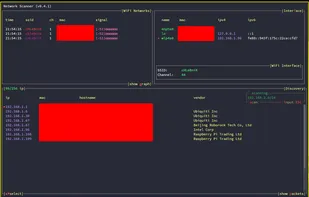 netscanner screenshot 1