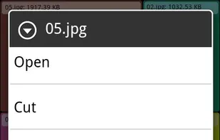 Grid Size File Manager screenshot 2