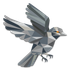 Sparrow Bitcoin Wallet icon