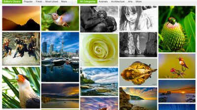 Exhibit - photos showcase, curated by SlickPic Editors
