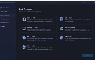 iBeesoft Disk Partition Wizard screenshot 2