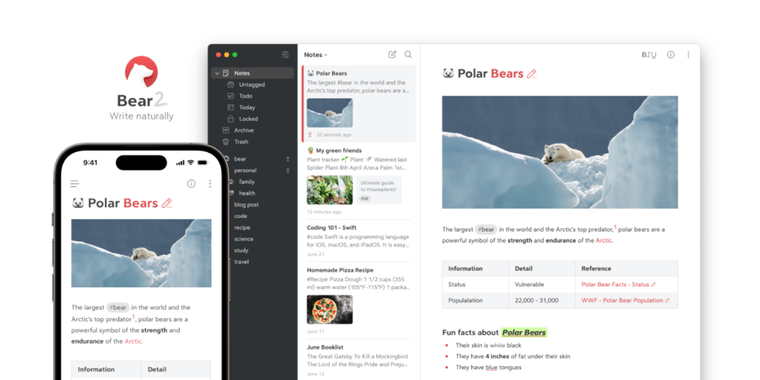 Bear 2 is just around the corner: A couple of things to keep in mind! image
