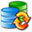 SQL Examiner icon