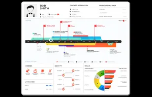 Visual Resume - Profile