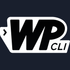 WP-CLI icon