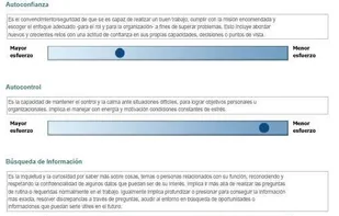 Reporte de Compatibilidad de Competencias Individual