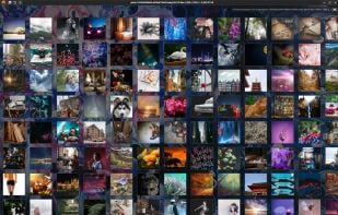 View your images in a thumbnail gallery.