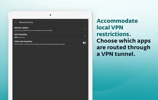 ESET VPN screenshot 2