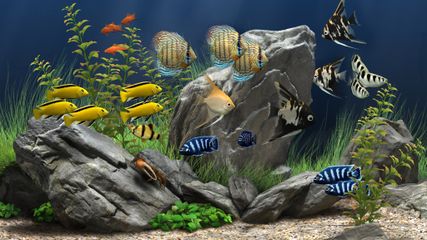 Dream Aquarium screenshot 1