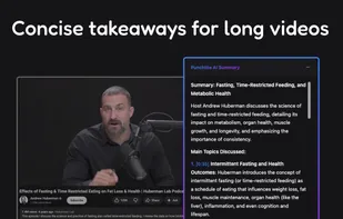 Punchlite screenshot 1
