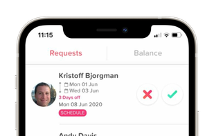 Pending requests from the approvers' view 