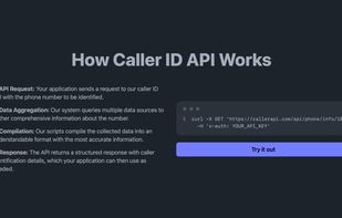 How the API works