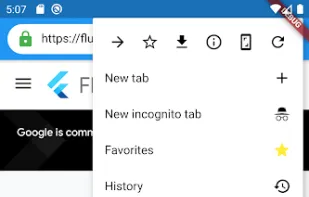 Flutter Browser screenshot 1