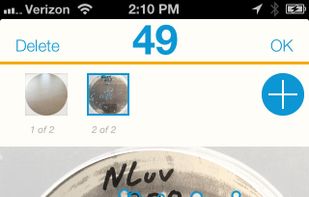 Promega Colony Counter screenshot 1