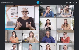 alfaview screenshot 1