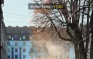 Fjorden Camera screenshot 1