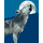 PEBrowseDbg64 Interactive icon