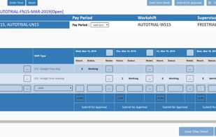 Coexsys Project Time Tracking Cloud screenshot 1