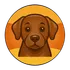 BacklinkDog icon