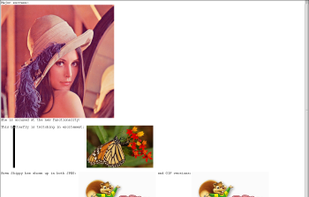 Images being moved around like any other buffer object