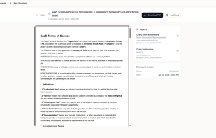 Midflight screenshot 1