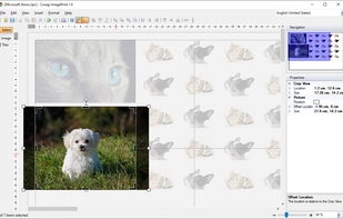 Crop images to remove unwanted areas
