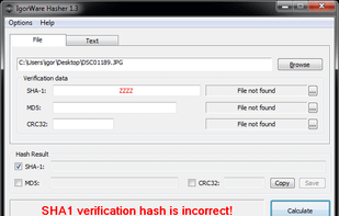 IgorWare Hasher screenshot 3